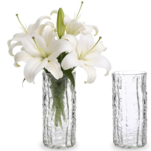 2 Pack Glass Vase, 10inch Tall Crystal Flower Vase, Clear Glass Cylinder Posy, for Home Table Decor Wedding Centrepiece Dining and Living Rooms, Flower arrangement and floral display