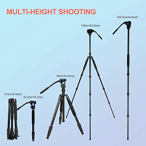 Sirui 2-In-1 Traveler Series Aluminum Video Tripod With Va-5 Fluid Head For Cameras Monopod Conversion 26.5Lbs Load Capacity 62.6Inch 360 Degree Panning Base 1/4" And 3/8" Screws (Traveler Va) #TOP2