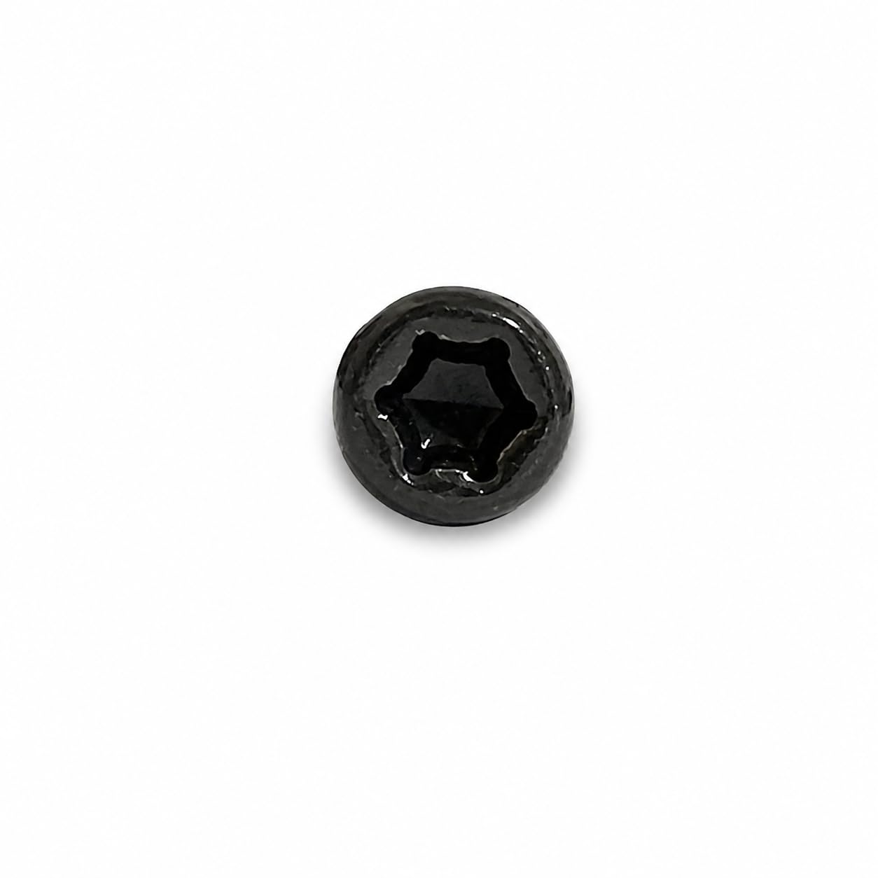 ESSVE Tornillos de fachada 5,0 x 72 mm A4 de acero inoxidable TX15 con punta de perforación, cabeza cilíndrica, RAL7016 – 250 unidades, acero inoxidable C5, para revestimiento de madera exterior