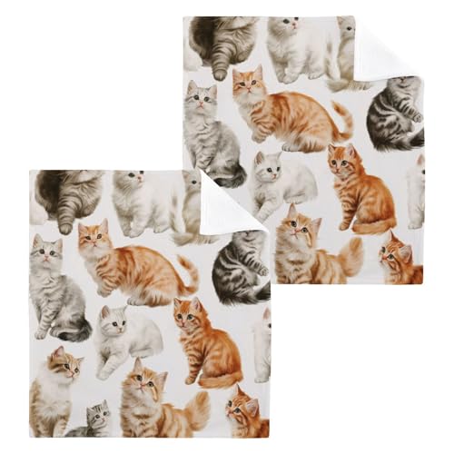 Msyxl 2-Pack Playful Cats Washcloths for Bathroom, 12x12in Cotton Wash Cloths Soft Absorbent Face Cloths Towel for Your Face Body
