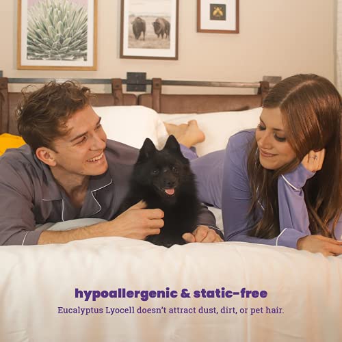 Sheets & Giggles 100% Eucalyptus Lyocell Sheet Set - All-Season, Responsibly Made, Naturally Cooling, Super Soft, Moisture-Wicking, Temperature Balancing, Vegan –King, White #TOP5