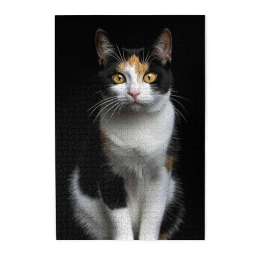 ؐs[X 1000s[X 킢CR2 WO\[pY lp eqpY qFBւ̃v[gɂł