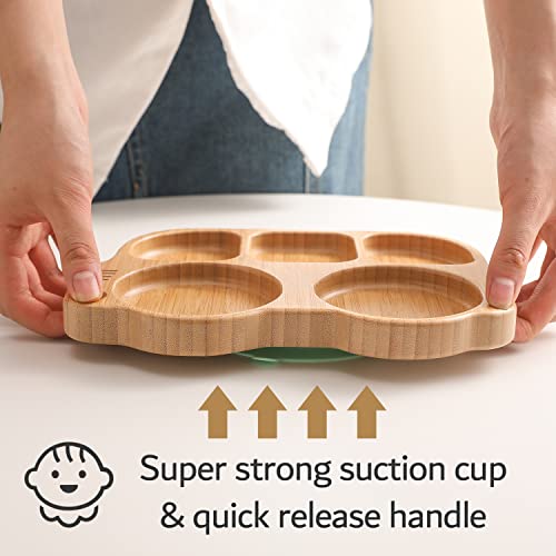 Suction Plates For Baby & Toddler, Bamboo Divided Platter Feeding Dishes With Silicone Fork& Spoon, All-Natural Baby Food Plate Stays For Baby-Led Weaning, Non-Slip Design #TOP3