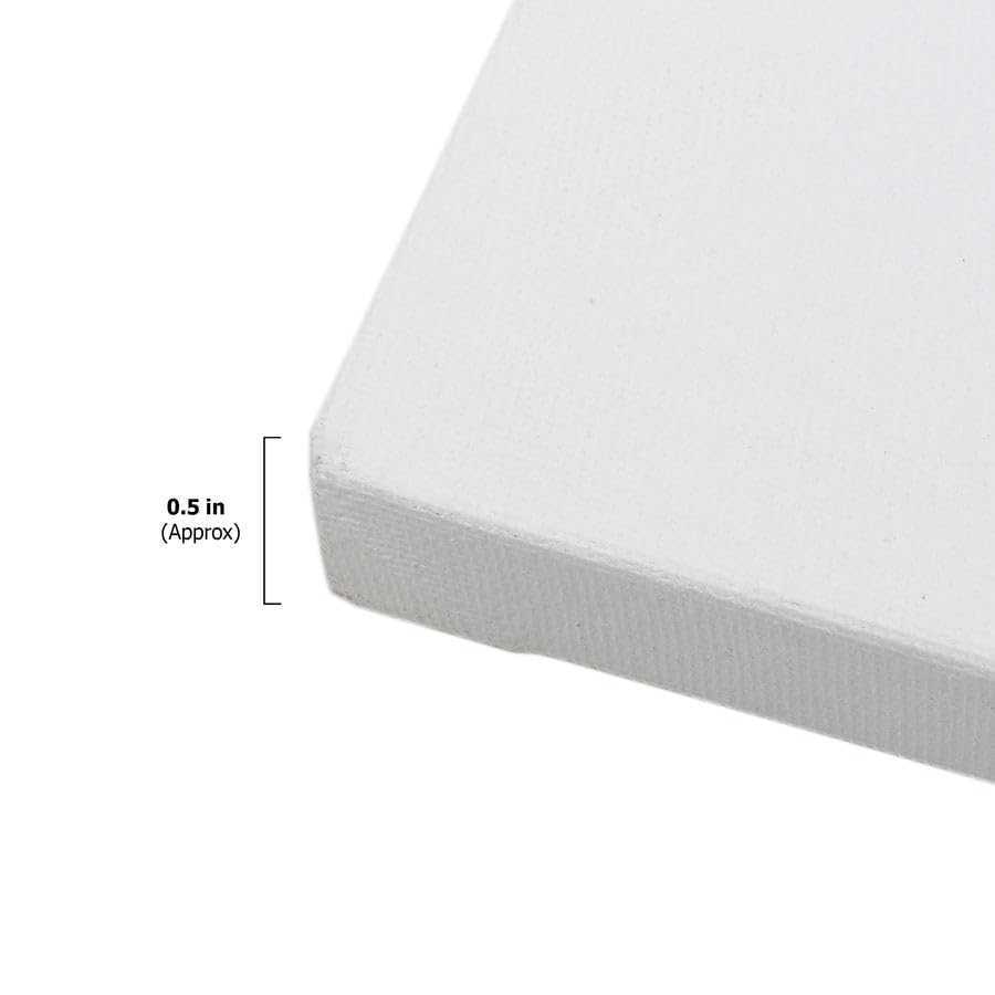 Little Birdie Pre Stretched Canvas with Wooden Frame for Painting 8x20 inch - 250gsm|100% Cotton Pre-Primed Canvas for Acrylic & Oil Colour Painting | Suitable for Artists, Students & Beginners 2