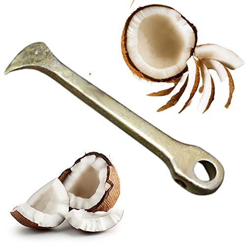 Image of Qts Coconut Remover Tool from Shell, Coconut Breaker Cum Opener Tool Stainless Steel Rod with Steel Handle, Silver, 18cm (DAS334)