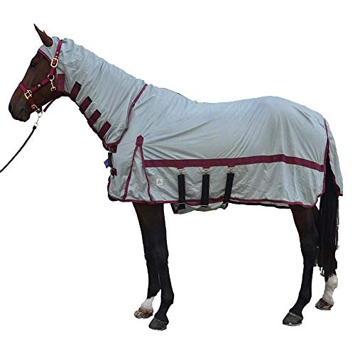  Hy Guardian Fly tappeto e maschera