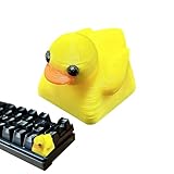 Nbbwwu