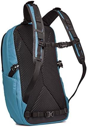 amazon pacsafe backpack