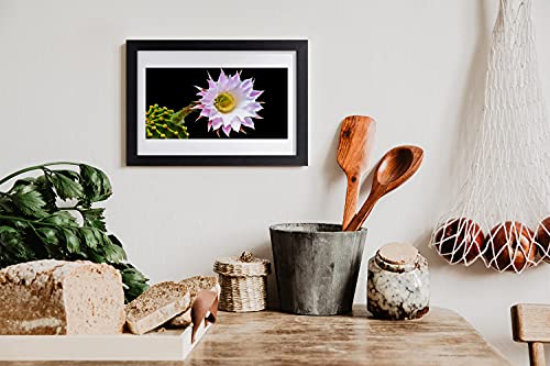 Affiche fleur encadrée 30x20 cm Tulup pour décoration murale