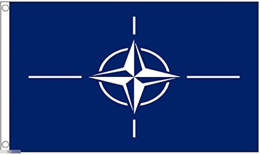 Amazon.co.jp: 国旗 北大西洋条約機構 NATO ナトー 特大フラッグ【ノー