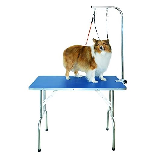 SHELANDY Professional pet Grooming Table with Double leashes and clamp for Large and Medium Dogs (Medium)