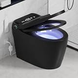 TDH Smart Toilet One-Piece