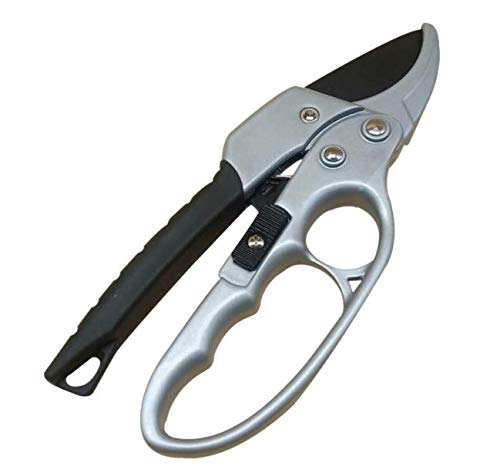 Forbici da potatura, cesoie a cricchetto, risparmio di laboratorio, potente che può essere utilizzato in qualsiasi applicazione di potatura da giardino