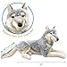 TigerHart Winry The Wolf - 27 Inch (Not Including Tail Measurement) Stuffed Animal Plush Dog