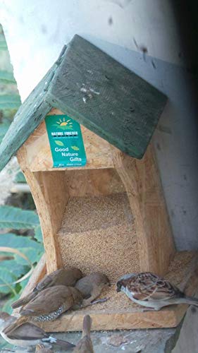 Image of Birds Wall Mounted House Feeder