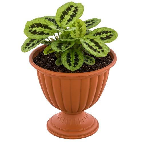 botle Macetero sobre un tallo de 26 cm de diámetro, color terracota, redondo, mate, rayas estriadas, jarrones para tumba, decoración con flores vivas y artificiales