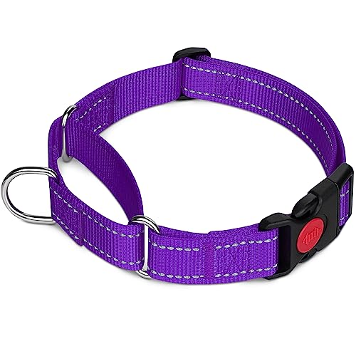 Ready to Upgrade Your Puppy's Collar Game? Check Out These Top 10