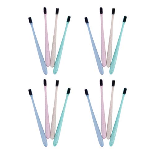 HEALLILY Conjunto de Escovas de Dentes DescartÃ¡veis â€‹â€‹100 Unidades Escova de Dentes PrÃ©-Fabric