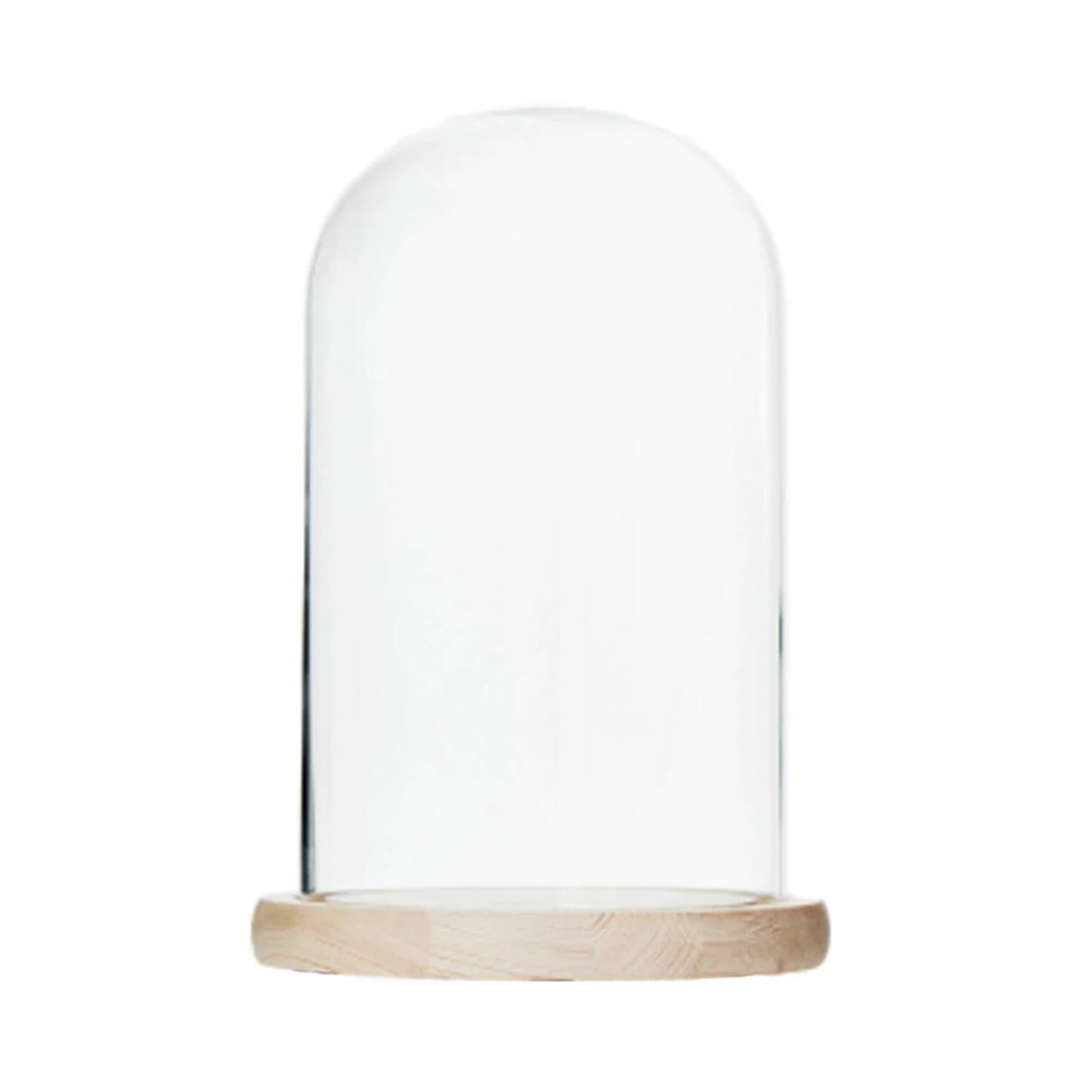 Wyqxty Beige Clear Glass Cloche Display Glass Cloche Dome With Wooden Base Transparent Cover 2 Pcs Multicolor Desktop Decor(Beige)