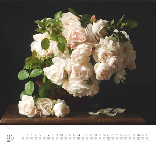 DUMONT - Geliebte Rosen 2026 – Wandkalender 38 x 36 cm – Rosensträuße von Clay Perry für Blumenliebhaber: Beloved Roses - Adorables roses
