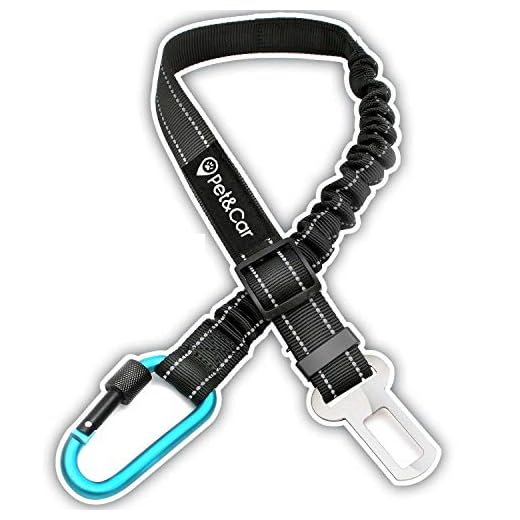 Cinturón de seguridad extensible para arnés de perro. Previene lesiones de mascota en coche por su correa elástica, mosquetón resistente y ligero con cierre de seguridad (Grande - Mediano (M - L - XL)