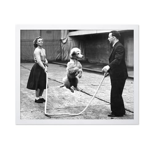 Poster Master Vintage Dog Poster - Retro Poodle Jumping Rope Print - Photography Art - Gift for Dog Owner, Animal Lover, Veterinarian - Decor for Vet Office, Living Room, 16x20 White Framed