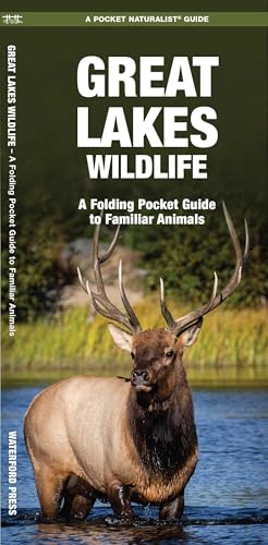 Great Lakes Wildlife (Nature Observation North America)
