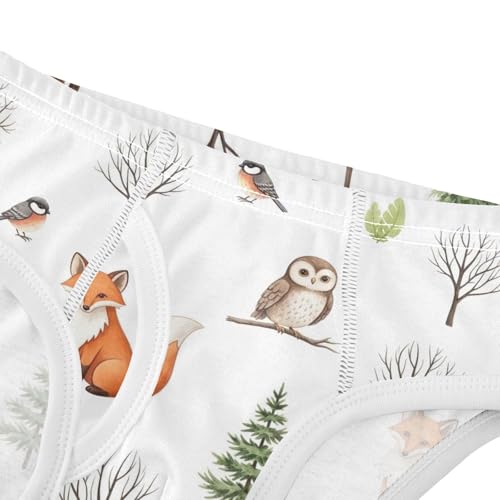 CHIFIGNO Cute Fox Owl White Underwear for Boys Printed Cotton Briefs Little Boys Breathable Underwear Briefs4