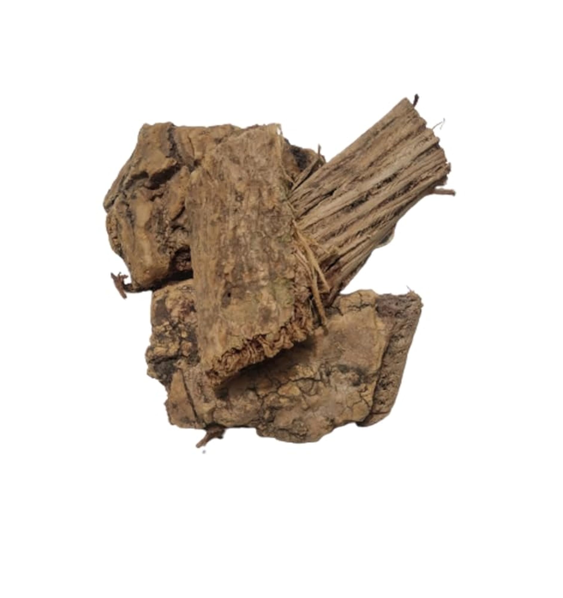 CAREQUE Moringa Bark - Sehjan Chhal Powder