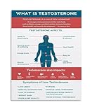 What Is Testosterone Canvas Wall Art Poster Science Education Painting for Bedroom Living Room Home Office Health Decor(Unframed,08x12inch(20x30cm))