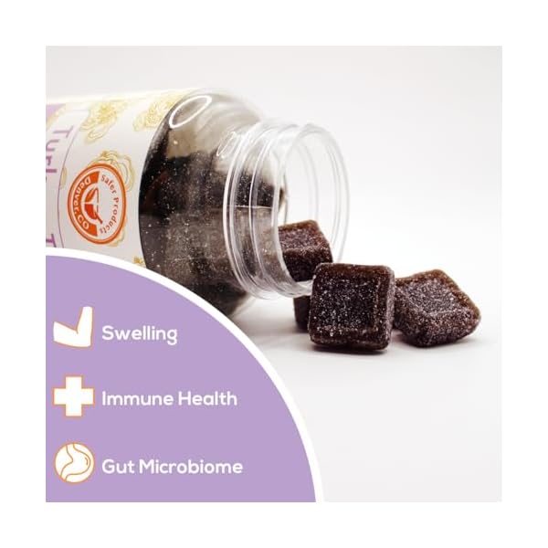 Safer Products Turkey Tail Mushroom Gummies May Support Immune Health