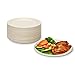 100 pcs Assiette Jetable 15.2cm Biodégradables en Assiette Carton de Canne à Sucre Ecologique Assiettes Jetables -naturel