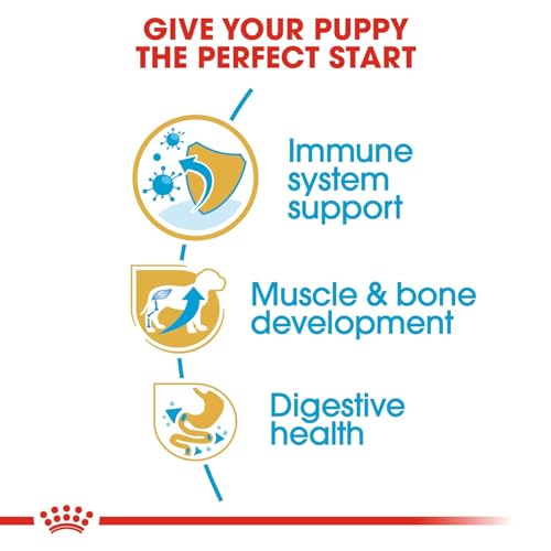 Image of Royal Canin Rottweiler Puppy Food, 3 Kg, Dry Food, Supports Healthy Cardiac Function, Bone & Joint Health, Promotes Ideal Muscle Mass