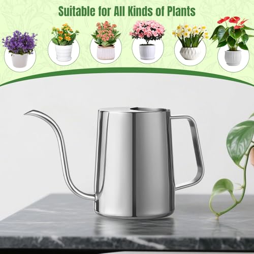 Image of Watering Can for Indoor Plants, Indoor Watering Can with Long Spout and Handle Rust-Proof 304 Stainless Steel Material (1000ml /34oz)