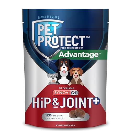 Pet Protect Dog Hip & Joint+ Supplement for Active & Aging Dogs Vet-Formulated Synovi G4 Dog Glucosamine Chicken-Flavored Soft Chews (120 Count)