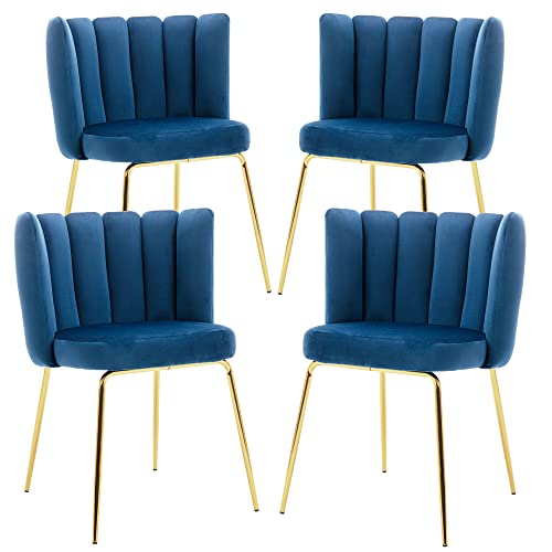 Velvet Barrel Dining Chairs Set of 2 Modern Accent Chairs Upholstered Host Side Chairs with Gold Metal Legs for Home Kitchen Living Room, Rose