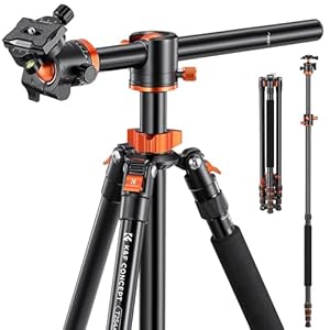 K&F Concept 94 Inch Camera Tripods 4 Section Ultra High Aluminum Professional Detachable Monopod Tripod with 360 Degree Ball Head Quick Release Plate for DSLR SLR Cameras T254A8+BH-28L (SA254T1)