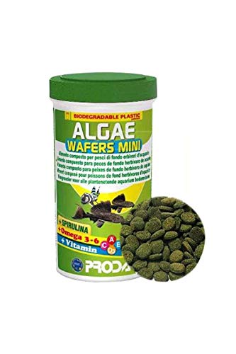 Algae Wafer Mini 100 Ml 50 Gr,