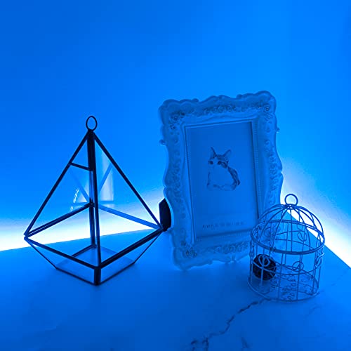 SUPERNIGHT 600 LEDs Blue Strip Light, 16.4FT Waterproof Flexible Rope Lights, 12V Blue Tape Lights for Bedroom, Mirror, Kitchen, Boat, Party, Anniversary, Holiday Decoration by SUPERNIGHT - Image 7