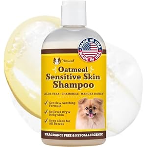 Natural Dog Company Oatmeal Shampoo for Dogs with Sensitive Skin, Ideal Anti Itch Dog Shampoo and Puppy Shampoo Oatmeal Itch Relief Dog Hypoallergenic Pet Shampoo, Deodorizing and Organic 12 oz