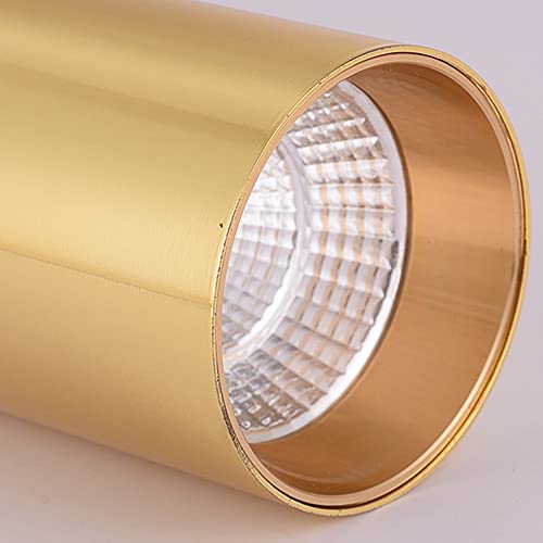 Lámpara colgante de aluminio estilo europeo con foco minimalista dorado y negro 5