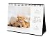Finocam - Calendario de sobremesa 2021 Escribir Imágenes Perros y gatos Español