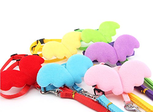 Bearded Dragon Leash And Harness - Soft Angel Wings- Ferret Harness For Bearded Dragon Reptile Lizard Ferret Hedgehog Large Chipmunk Squirrel Degu Rat And Gecko Safe Easy Walking #TOP5