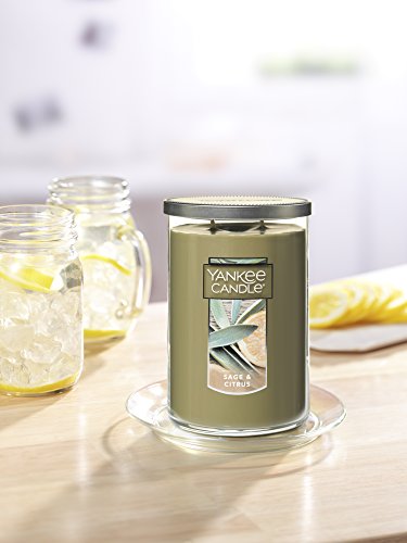 Yankee Candle Sage & Citrus Scented, Classic 22Oz Large Tumbler 2-Wick Candle, Over 75 Hours Of Burn Time #TOP3