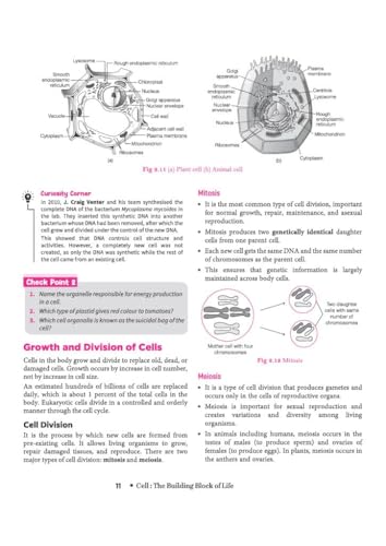 Image of ARIHANT ALL IN ONE CBSE EXPLORATION SCIENCE CLASS 9 FOR 2027 EXAMS -ALLSCI9