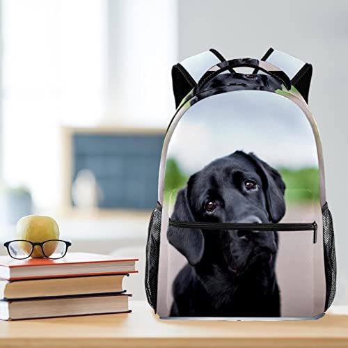 Mochila para perro multifuncional y escolar universitaria de gran capacidad 6