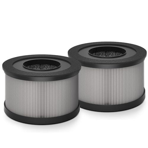 Filtre à air HEPA VF04 H13 True : lot de 2 filtres de rechange