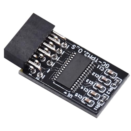TPM 2.0 Module Encryption Security with 12 pin Compatible with Windows 10 11 for GIGABYTE Motherboard