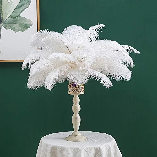 16-18 inches (40-45cm) Featured Real Natural Ostrich Feathers Bulk White, Great Decorations for Christmas Halloween Home Party Wedding Centerpieces(White 10pcs)