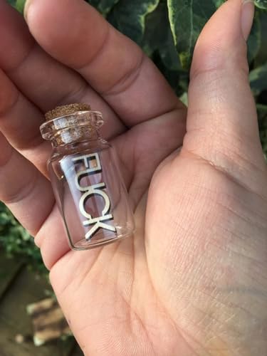 My Last Fuck to Give Miniature Bottle Trinket, Unique Gifts, Christmas Gifts for FriendsFunny Gifts, Swear Bottles, Swear Jars